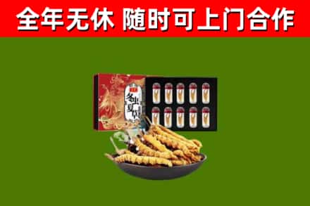 江宁回收冬虫夏草价格