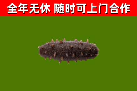 江宁烟酒回收干海参.jpg